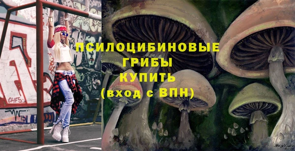 стаф Михайлов