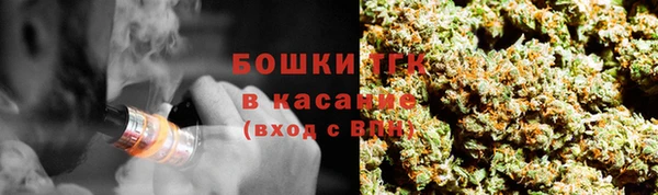 стаф Михайлов